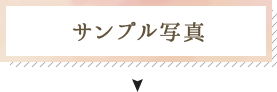 サンプル写真